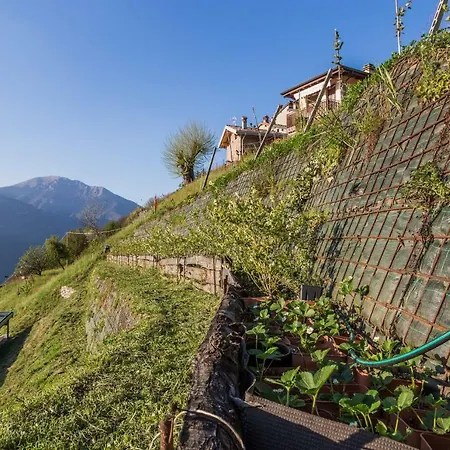 Bed & Breakfast Alveare Sul