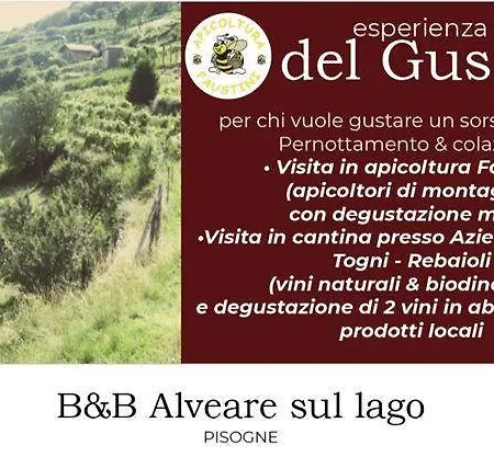 Alveare Sul Bed & Breakfast