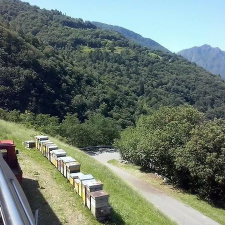 Bed & Breakfast Alveare Sul *
